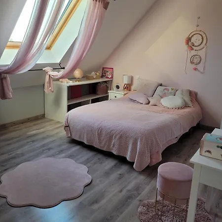 Maison Proche Du Circuit Des 24h Du Mans Willa *